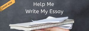 Write My Essay for Money